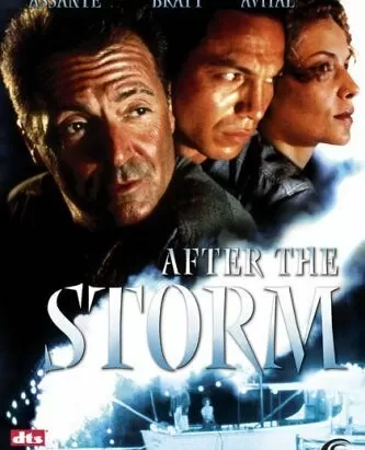 После шторма / After the Storm