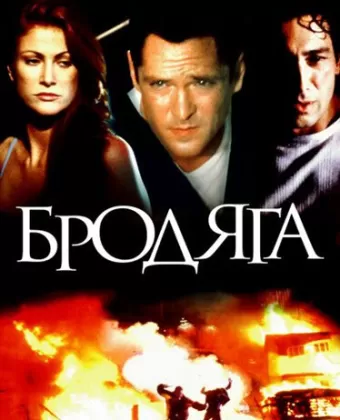 Бродяга / The Stray
