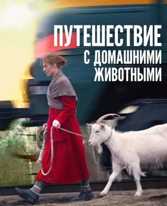 Путешествие с домашними животными