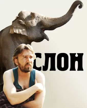 Слон