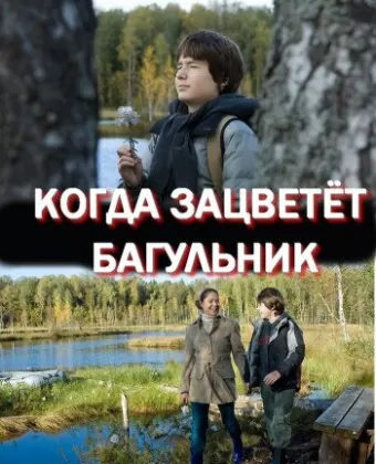 Когда зацветёт багульник