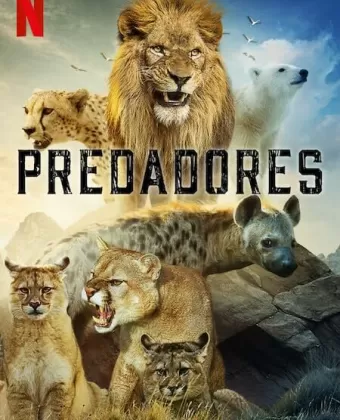 Хищники / Predators