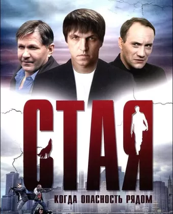 Стая