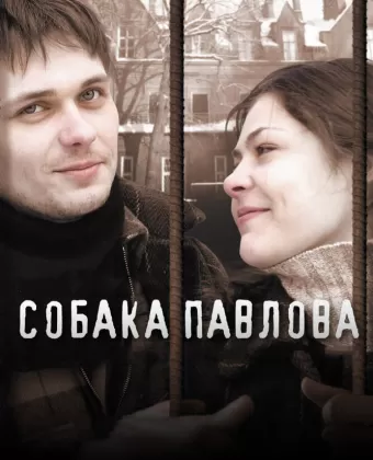 Собака Павлова