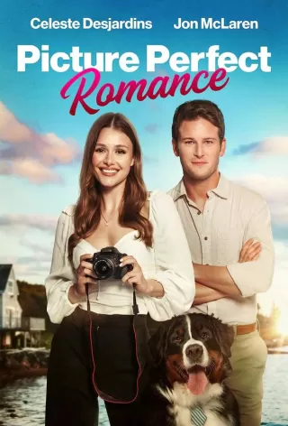 Идеальный роман / Picture Perfect Romance