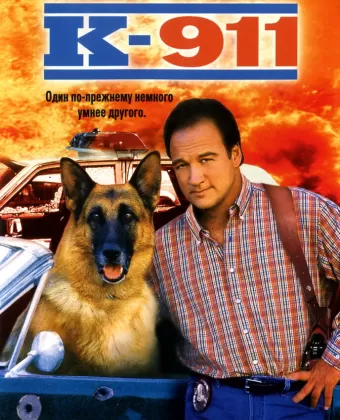 К-911 / K-911