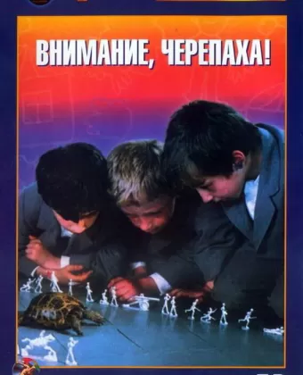 Внимание, черепаха!