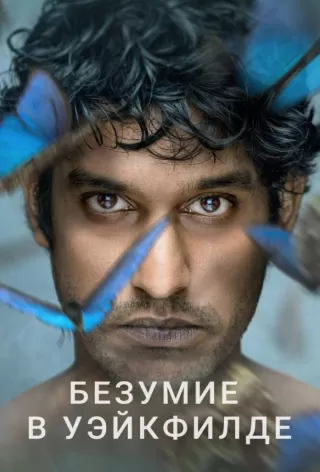 Безумие в Уэйкфилде / Wakefield