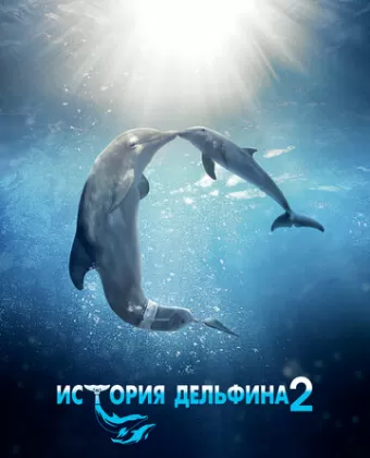 История дельфина 2 / Dolphin Tale 2