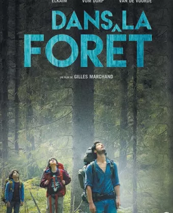 В лесу / Dans la forêt