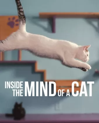 Внутри разума кошки / Inside the Mind of a Cat