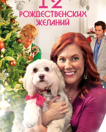 12 Рождественских желаний / The Twelve Wishes of Christmas