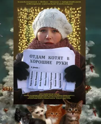 Отдам котят в хорошие руки / Otdam kotyat v khoroshie ruki