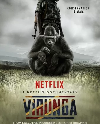 Вирунга / Virunga
