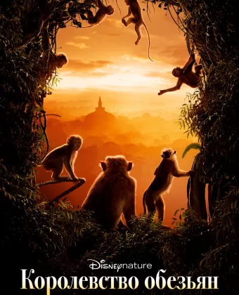 Королевство обезьян / Monkey Kingdom