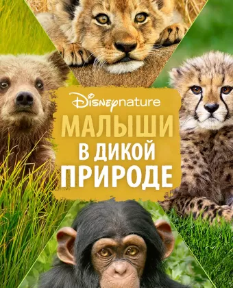 Малыши в дикой природе / Growing Up Wild