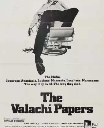 Записки Валачи / The Valachi Papers