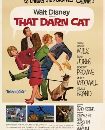 Эта дикая кошка / That Darn Cat!