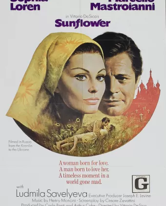 Подсолнухи / The Sunflower
