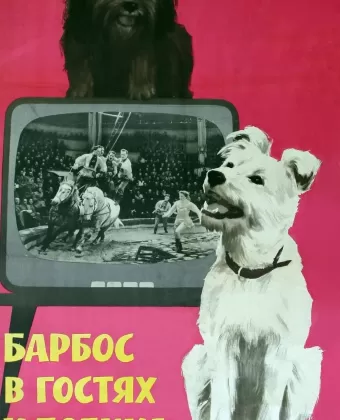 Барбос в гостях у Бобика