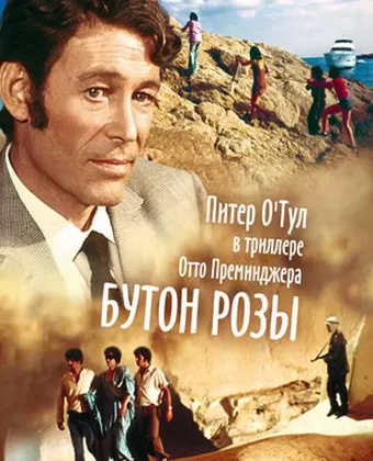 Бутон розы / Rosebud