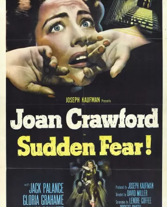 Внезапный страх / Sudden fear