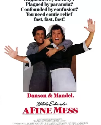 Передряга / A Fine Mess