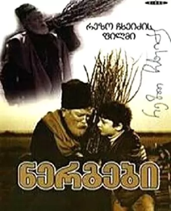 Саженцы