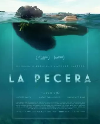 Аквариум / La Pecera