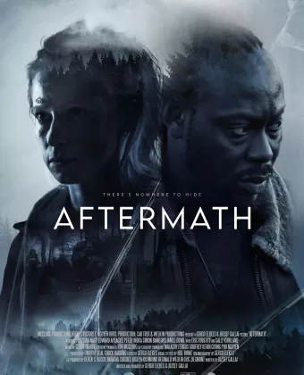 Последствия / Aftermath