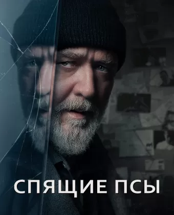 Спящие псы / Sleeping Dogs