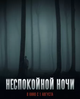 Неспокойной ночи / Nightman