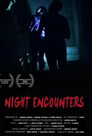 Ночные встречи / Night Encounters