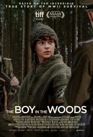 Мальчик в лесу / The Boy in the Woods
