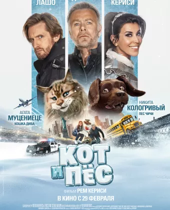 Кот и пёс / Chien et chat
