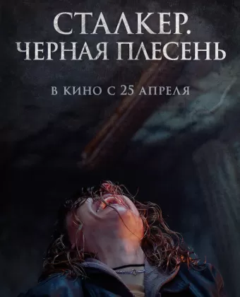 Чёрная плесень / Black Mold