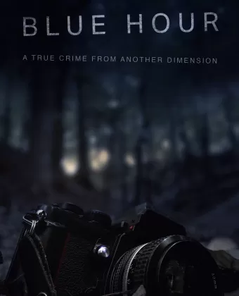Сумерки: Исчезновение Ника Брандрета / Blue Hour: The Disappearance of Nick Brandreth