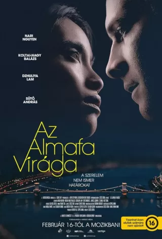 Цветок яблони / Az almafa virága
