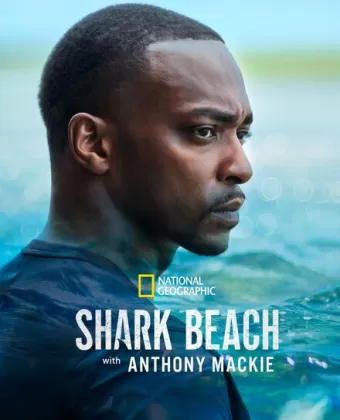 Акулий пляж с Энтони Маки: Мексиканский залив / Shark Beach with Anthony Mackie. Gulf Coast