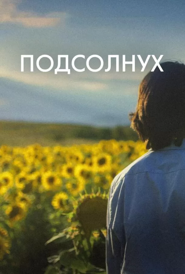 Подсолнух / Sunflower
