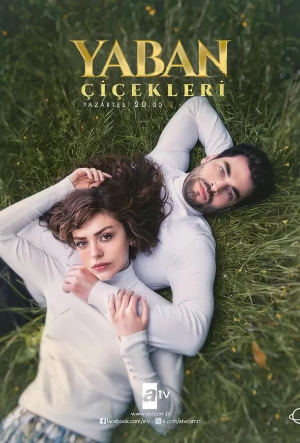 Дикие цветы / Yaban Çiçekleri