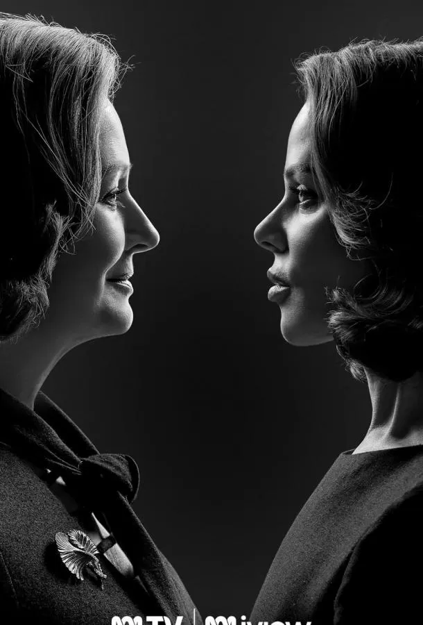 Дамы в черном / Ladies in Black