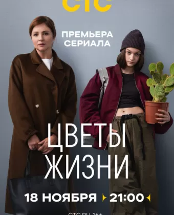 Цветы жизни