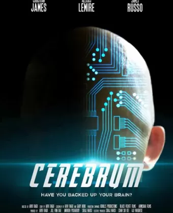 Мозг / Cerebrum