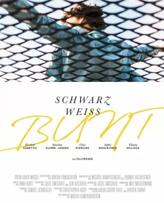 Черный Белый Разноцветный / Schwarz Weiss Bunt