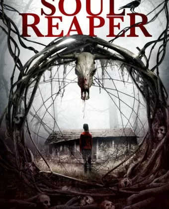 Мрачный жнец / Soul Reaper