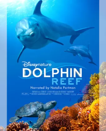Дельфиний риф / Dolphin Reef