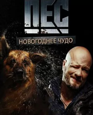 Новогодний пёс