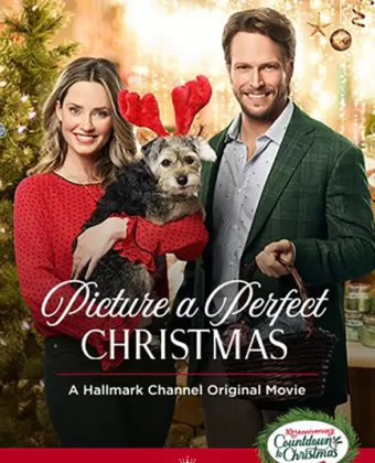 Образ идеального Рождества / Picture a Perfect Christmas