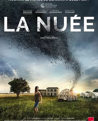 Рой / La nuée